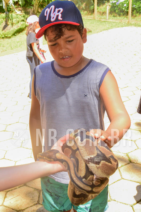 Buy your photos of the eventNR1 �la 6� Ano 09 a 11/11/18 on Fotop