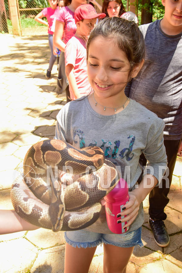 Buy your photos of the eventNR1 �la 6� Ano 09 a 11/11/18 on Fotop