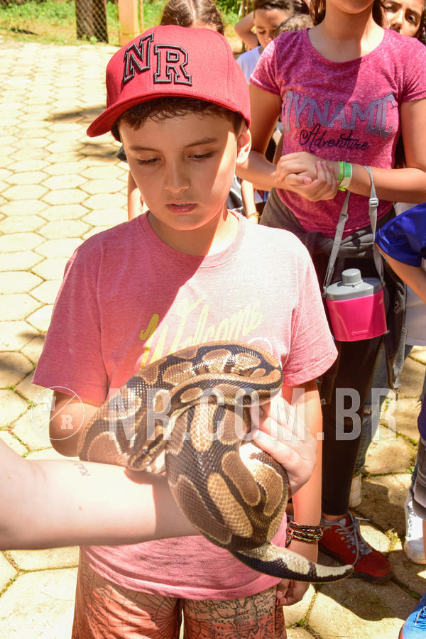 Buy your photos of the eventNR1 �la 6� Ano 09 a 11/11/18 on Fotop