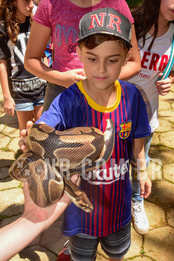 Buy your photos of the eventNR1 �la 6� Ano 09 a 11/11/18 on Fotop