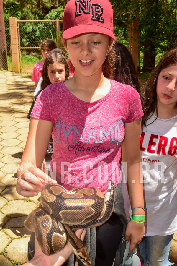 Buy your photos of the eventNR1 �la 6� Ano 09 a 11/11/18 on Fotop