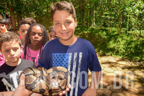 Buy your photos of the eventNR1 �la 6� Ano 09 a 11/11/18 on Fotop