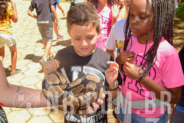 Buy your photos of the eventNR1 �la 6� Ano 09 a 11/11/18 on Fotop