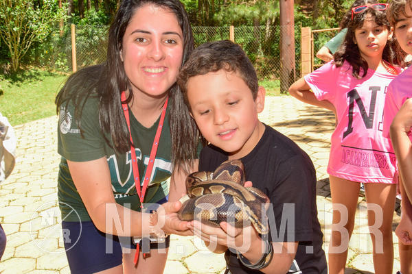 Buy your photos of the eventNR1 �la 6� Ano 09 a 11/11/18 on Fotop