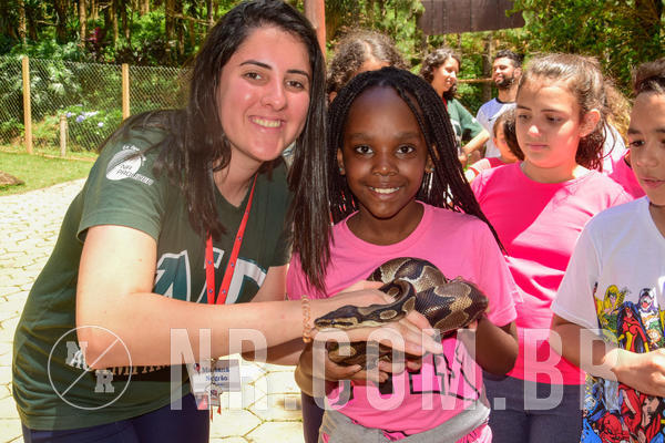 Buy your photos of the eventNR1 �la 6� Ano 09 a 11/11/18 on Fotop