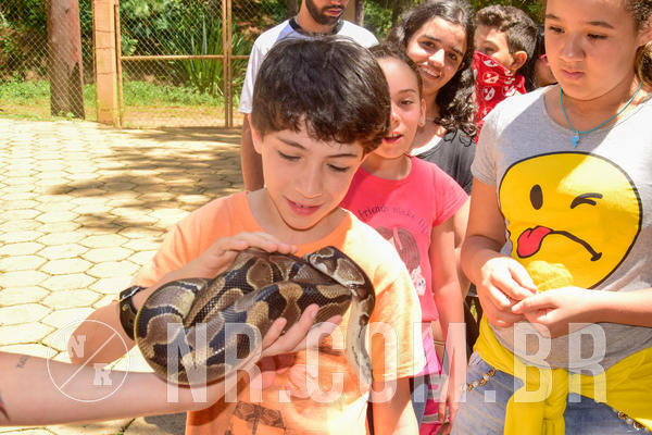 Buy your photos of the eventNR1 �la 6� Ano 09 a 11/11/18 on Fotop