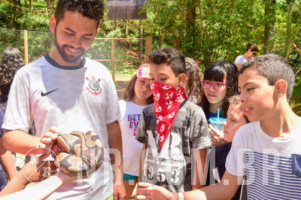 Buy your photos of the eventNR1 �la 6� Ano 09 a 11/11/18 on Fotop