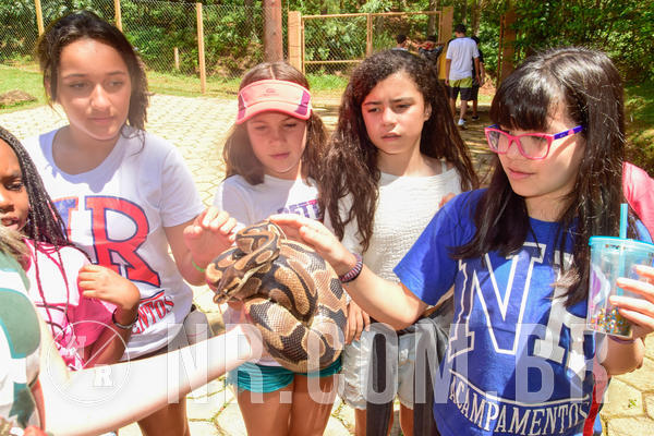 Buy your photos of the eventNR1 �la 6� Ano 09 a 11/11/18 on Fotop