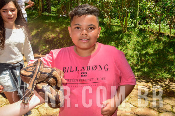 Buy your photos of the eventNR1 �la 6� Ano 09 a 11/11/18 on Fotop