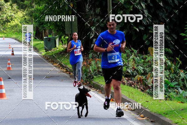 Buy your photos of the eventCircuito de corrida Bramil on Fotop
