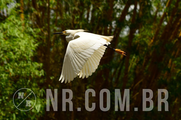 Buy your photos of the eventNR Sun - 11  A 14/10/18 on Fotop