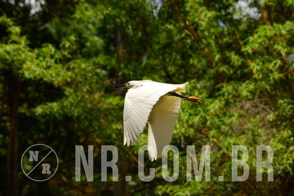 Buy your photos of the eventNR Sun - 11  A 14/10/18 on Fotop