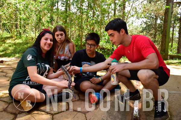 Buy your photos of the eventNR Sun - 11  A 14/10/18 on Fotop