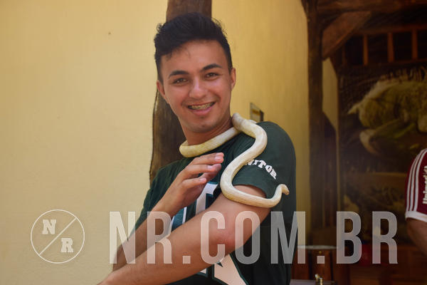 Buy your photos of the eventNR Sun - 11  A 14/10/18 on Fotop