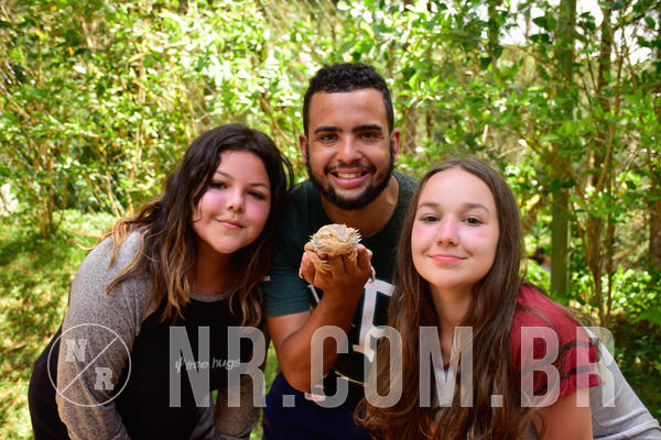 Buy your photos of the eventNR Sun - 11  A 14/10/18 on Fotop