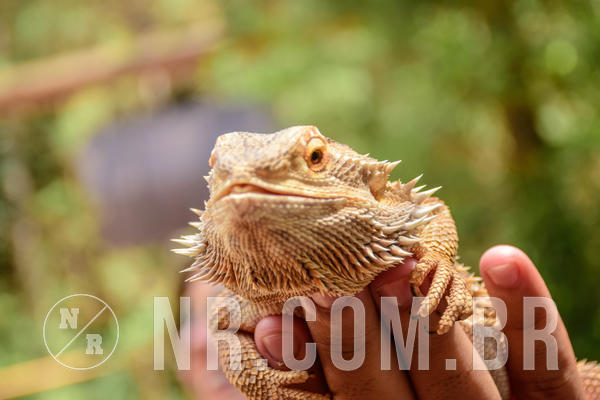 Buy your photos of the eventNR Sun - 11  A 14/10/18 on Fotop