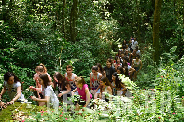 Buy your photos of the eventNR Sun - 11  A 14/10/18 on Fotop