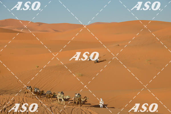 Buy your photos of the eventMerzouga Rally on Fotop