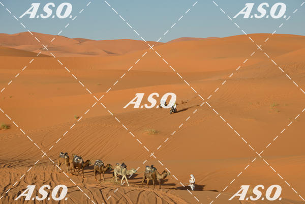 Buy your photos of the eventMerzouga Rally on Fotop