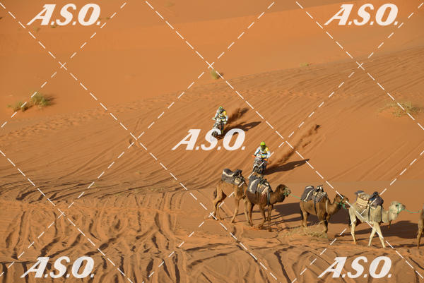 Buy your photos of the eventMerzouga Rally on Fotop