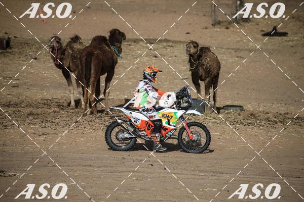 Buy your photos of the eventMerzouga Rally on Fotop
