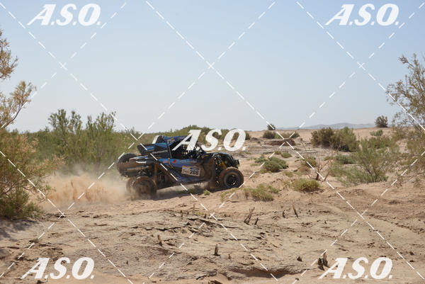 Buy your photos of the eventMerzouga Rally on Fotop