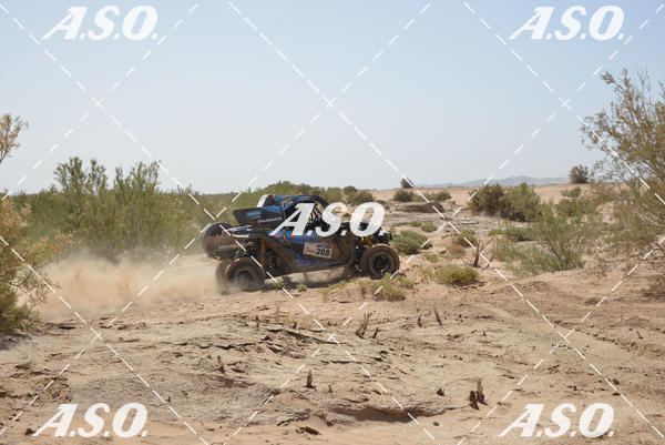Buy your photos of the eventMerzouga Rally on Fotop