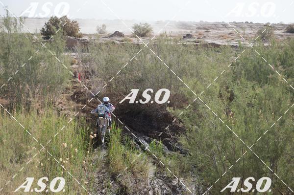 Buy your photos of the eventMerzouga Rally on Fotop