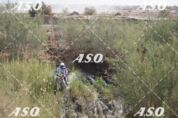 Buy your photos of the eventMerzouga Rally on Fotop