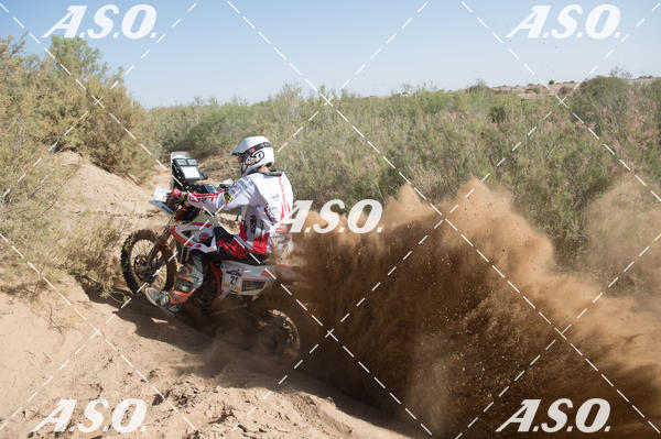 Buy your photos of the eventMerzouga Rally on Fotop