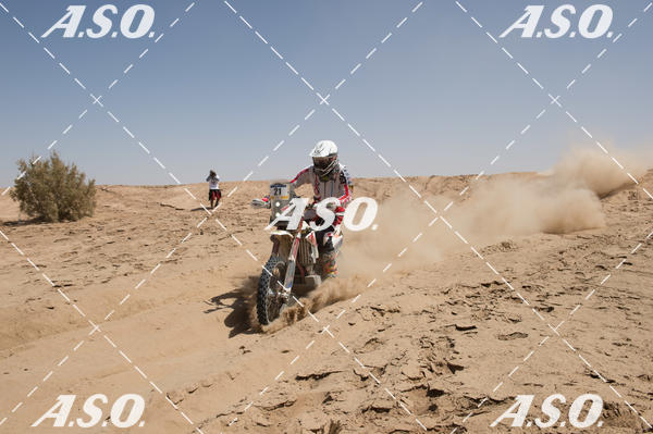 Buy your photos of the eventMerzouga Rally on Fotop