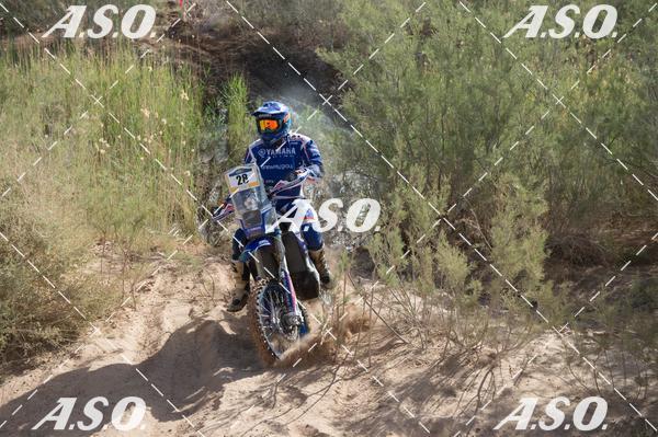 Buy your photos of the eventMerzouga Rally on Fotop