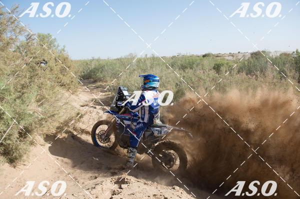 Buy your photos of the eventMerzouga Rally on Fotop