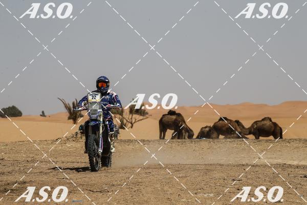 Buy your photos of the eventMerzouga Rally on Fotop