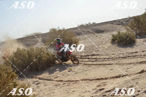 Buy your photos of the eventMerzouga Rally on Fotop