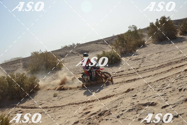 Buy your photos of the eventMerzouga Rally on Fotop