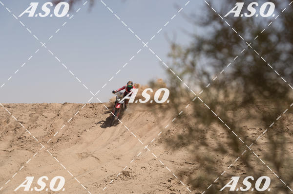 Buy your photos of the eventMerzouga Rally on Fotop