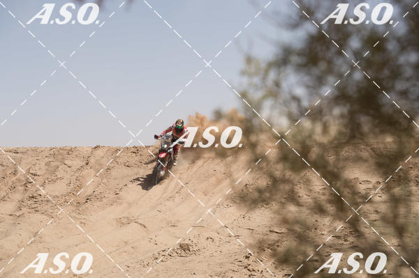 Buy your photos of the eventMerzouga Rally on Fotop