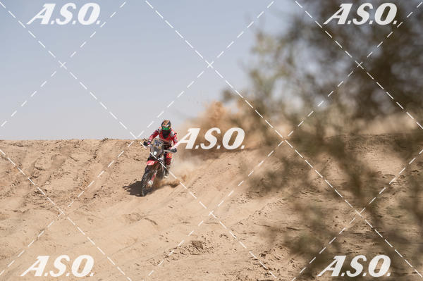 Buy your photos of the eventMerzouga Rally on Fotop