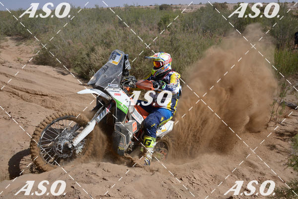 Buy your photos of the eventMerzouga Rally on Fotop