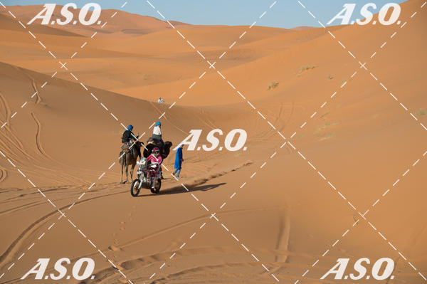 Buy your photos of the eventMerzouga Rally on Fotop