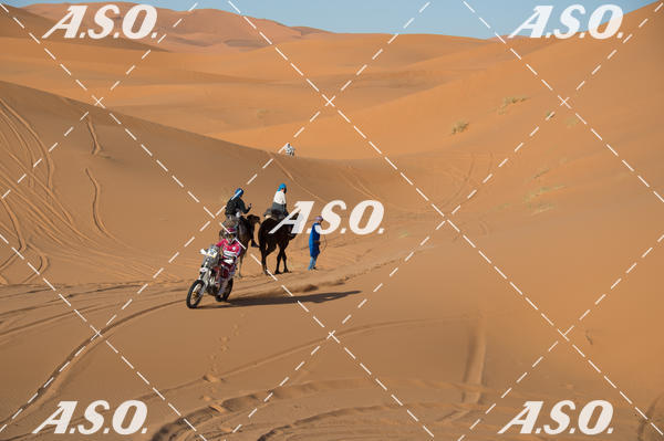 Buy your photos of the eventMerzouga Rally on Fotop