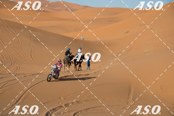 Buy your photos of the eventMerzouga Rally on Fotop