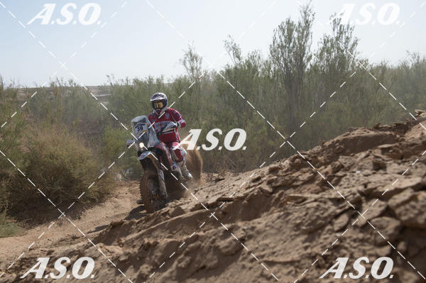 Buy your photos of the eventMerzouga Rally on Fotop