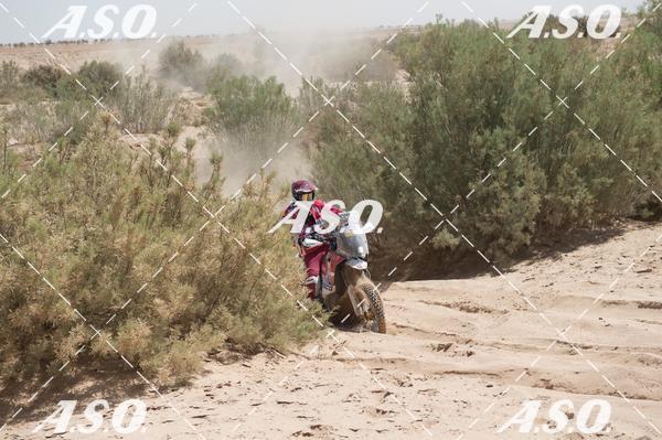 Buy your photos of the eventMerzouga Rally on Fotop