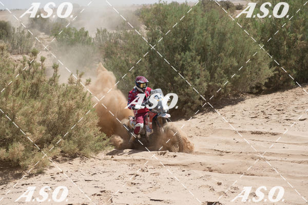 Buy your photos of the eventMerzouga Rally on Fotop