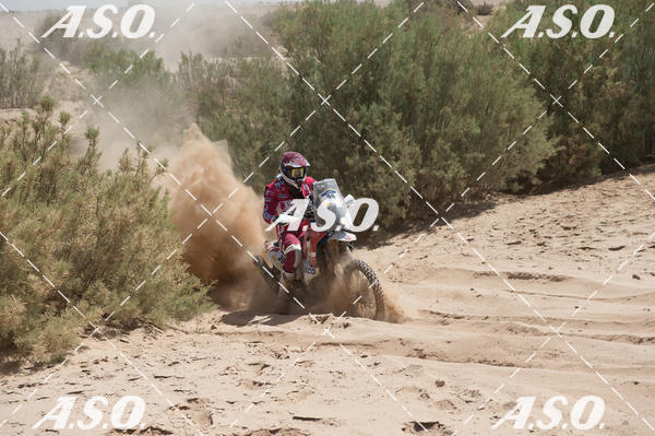 Buy your photos of the eventMerzouga Rally on Fotop