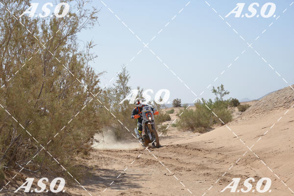 Buy your photos of the eventMerzouga Rally on Fotop