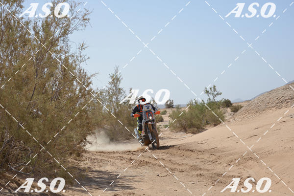 Buy your photos of the eventMerzouga Rally on Fotop