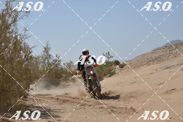 Buy your photos of the eventMerzouga Rally on Fotop